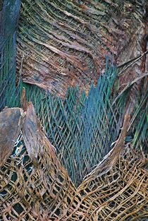 palm tree structures... 3 von loewenherz-artwork