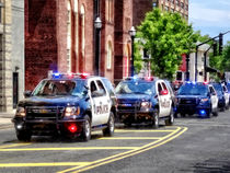 Line of Police Cars by Susan Savad
