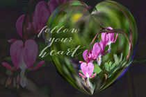 Follow your heart by Chris Berger