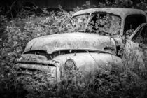 Long Term Parking by Andy Bitterer
