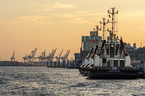 Hamburger Hafen von fotolos