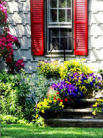 Flowers and Red Shutters by Susan Savad