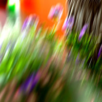 Flowers in motion by Martina Marten