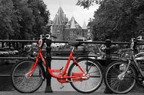 Red Bicycle By The Canal von Aidan Moran