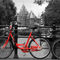 Red-bike