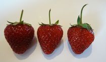 Drei Erdbeeren  by artofirenes