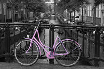 Pink Bicycle By The Canal by Aidan Moran