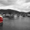 Red-boat