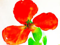 Red flower by Maria-Anna  Ziehr