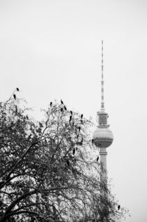 berlin, alexanderplatz by whiterabbitphoto