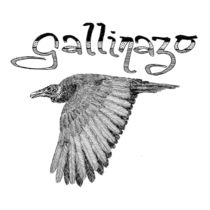 Gallinazo by Condor Artworks