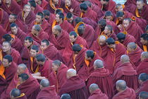 Tibetan Monks by Alexandra Lavizzari