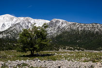 The White Mountains of Anopoli by Markus Hartung