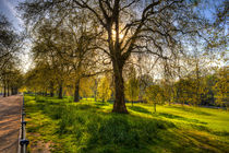 St James Park London by David Pyatt