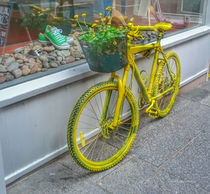 Yellow Cycle by Ed The Frog