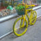 Yellow-cycle