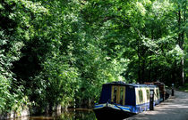 Llangollen Canal by Harvey Hudson