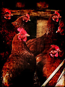 Countrysides Chickens von Sandra  Vollmann