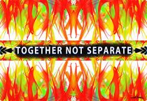 Together Not Separate  von Vincent J. Newman