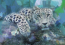 Leopard  von Galen Valle