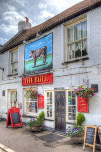 The Bull Pub Theydon Bois by David Pyatt