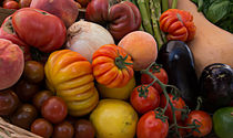 Bountiful Basket of Heirloom Tomatoes by Michael Moriarty