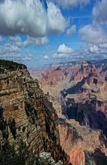 Grand Canyon National Park by Michael Moriarty