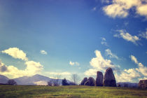 Standing Stones  by Vicki Field