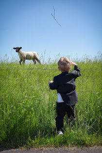 boy and sheep by mosfotostudio