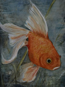 Fengshui VI - Goldfisch von Chris Berger