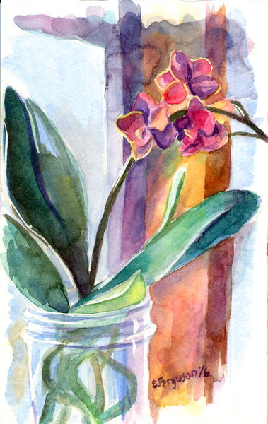 Orchidwatercolorsketch