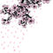 Shower-of-falling-cherry-blossom-petals-sc6-art