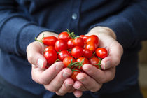 Eine Frau hält Tomaten in der Hand von ollipic
