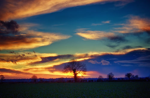 Coloursunsettree-hdr