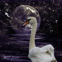 Swan Lake Night by Chris Berger