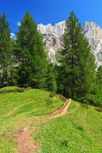 alpine path in Contrin Valley by Antonio Scarpi