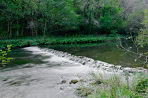 River Dove Weir, Dovedale von Rod Johnson