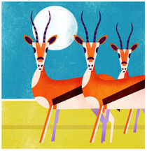 Gazelles by Benjamin Bay