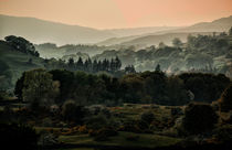Foggy morning in Lake District by Jarek Blaminsky
