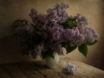Fresh lilac in white pot by Jarek Blaminsky