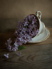 Lilacs and teacups by Jarek Blaminsky