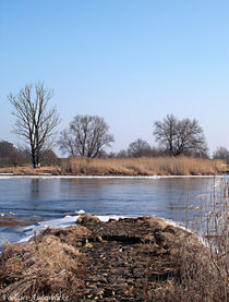 Kleine Landzunge in die Oder... by voelzis-augenblicke
