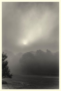 Nebelmorgen by phobeke