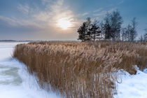 Winter am Bodden bei Wiek by Rico Ködder