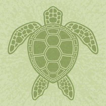 Green Sea Turtle by John Schwegel