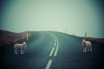 Schafe auf der Straße / mystisch von Doreen Reichmann