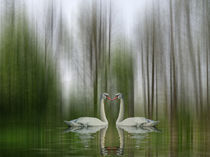 Swan Lake spring von Chris Berger