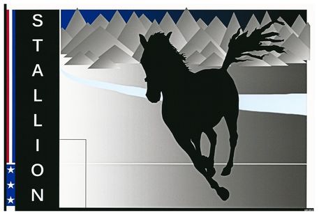 Black-horse-against-mountains-12inx8-dot-1in-300dpi-lance-rann-c2013