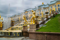 Fountains in Peterhof by ronny
