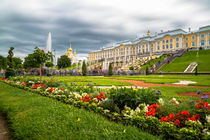 Garden in Peterhof von ronny